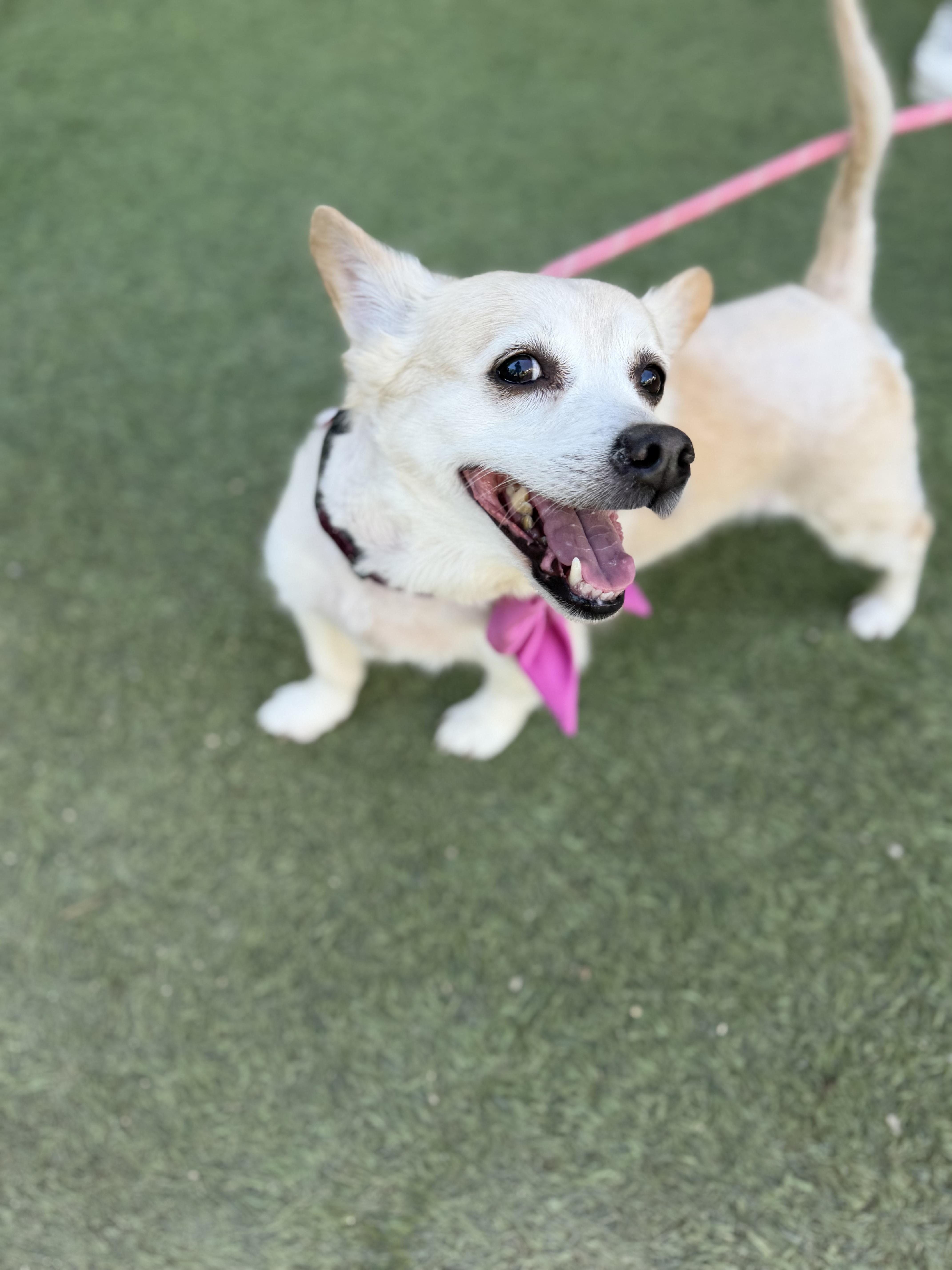 Cindy Crawford thumbnail 5