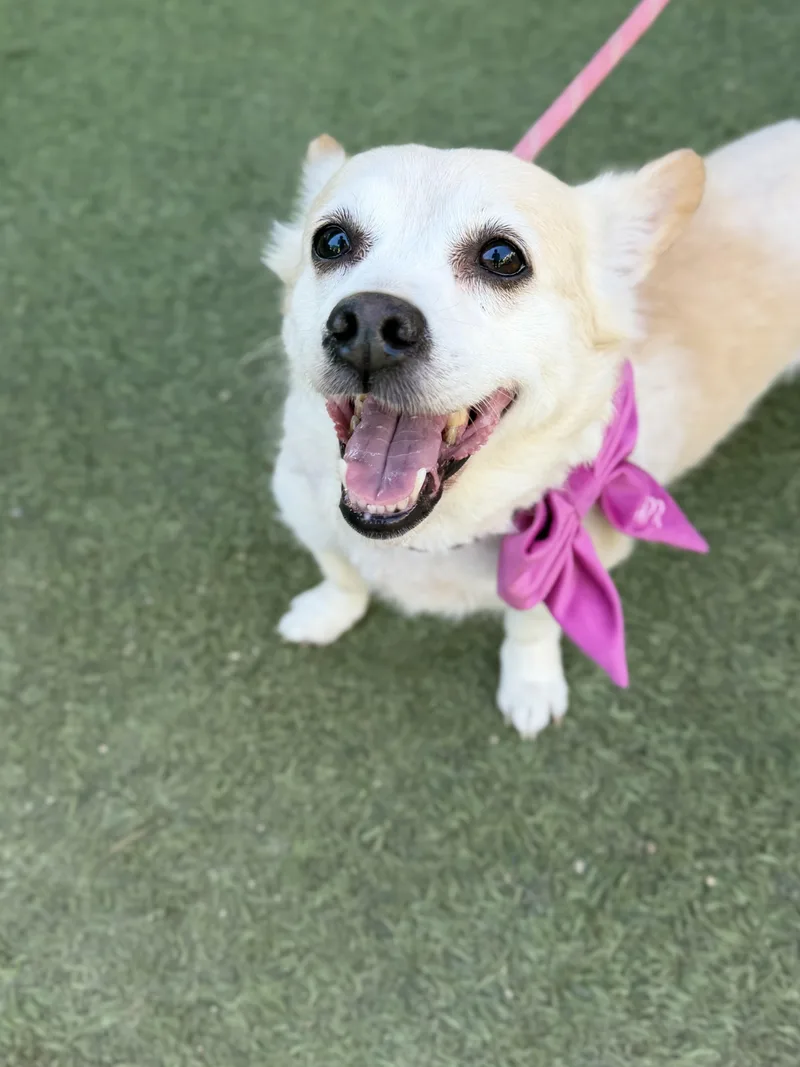 Cindy Crawford thumbnail 6