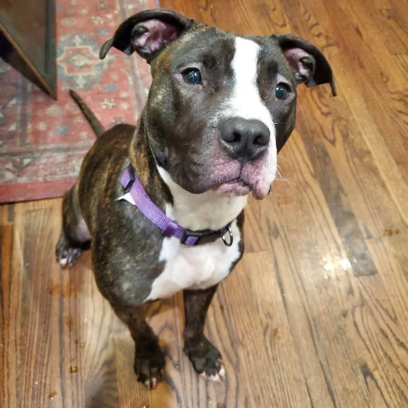 Princess thumbnail 2