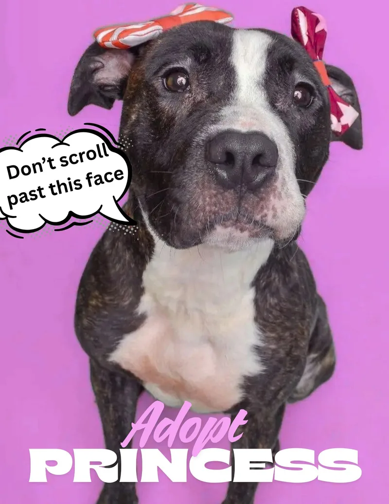 Princess thumbnail 3