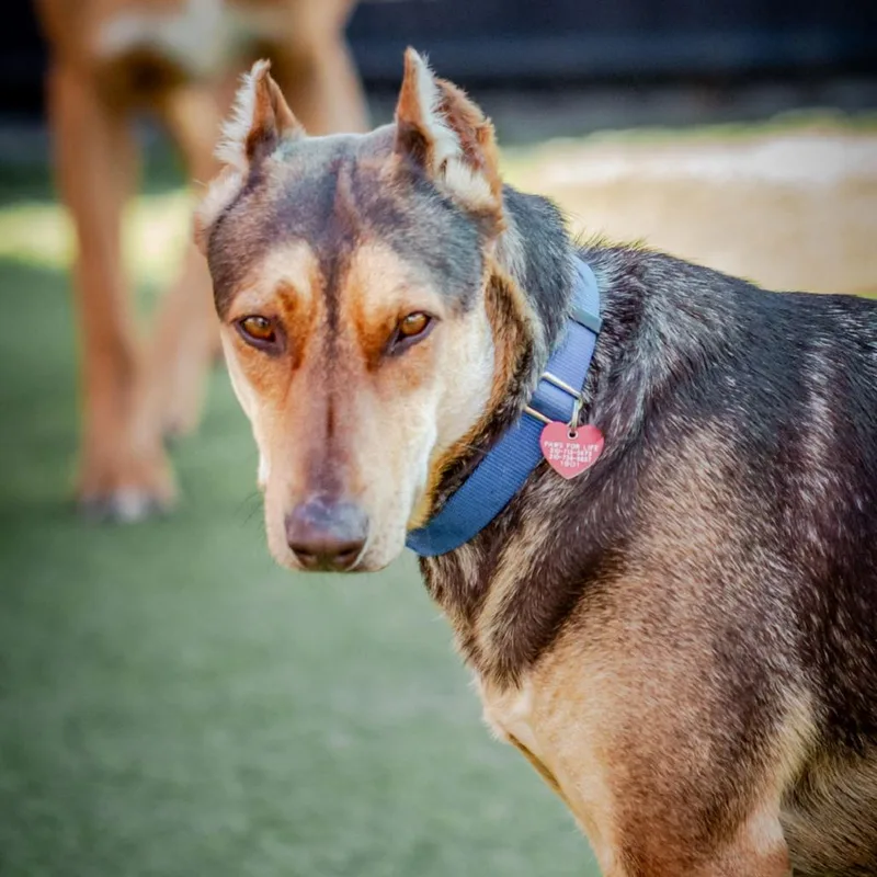 Bruno Marsa thumbnail 2