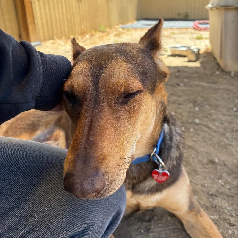 Bruno Marsa thumbnail 3