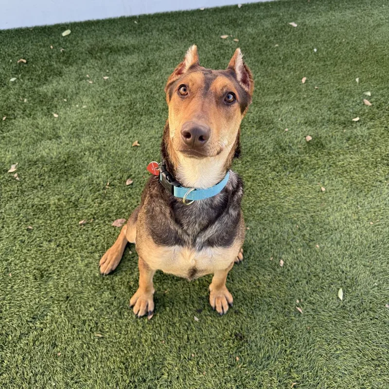 Bruno Marsa thumbnail 4