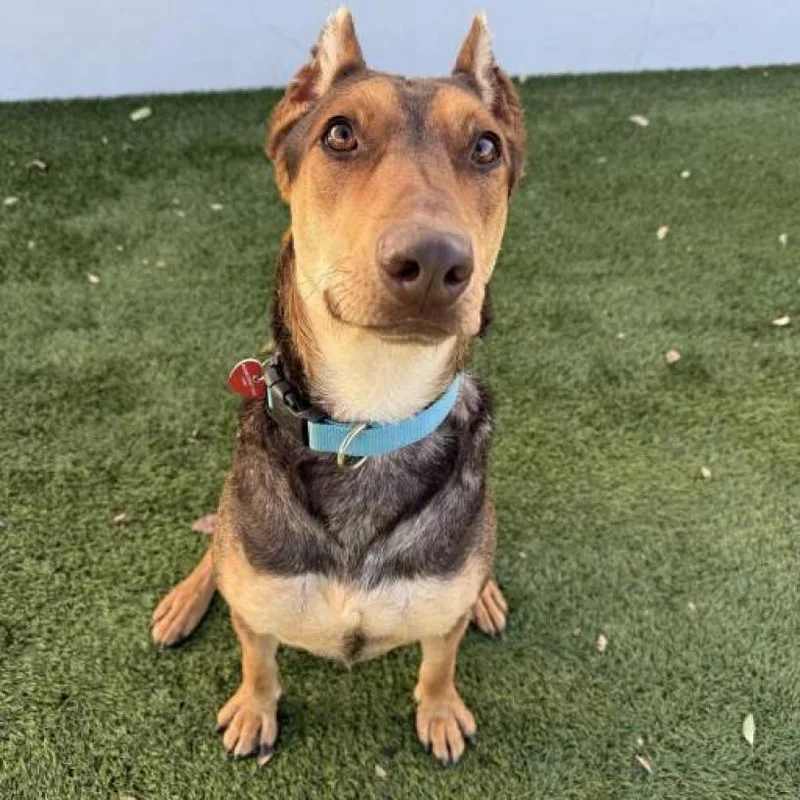 Bruno Marsa thumbnail 6