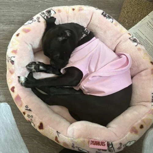 Pepper Ann thumbnail 2