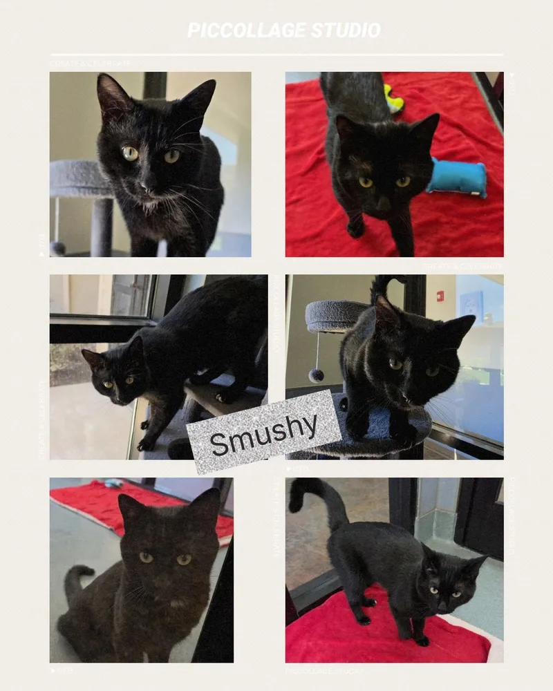 Smushy