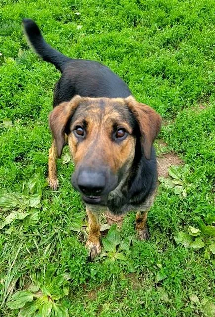 Butkus