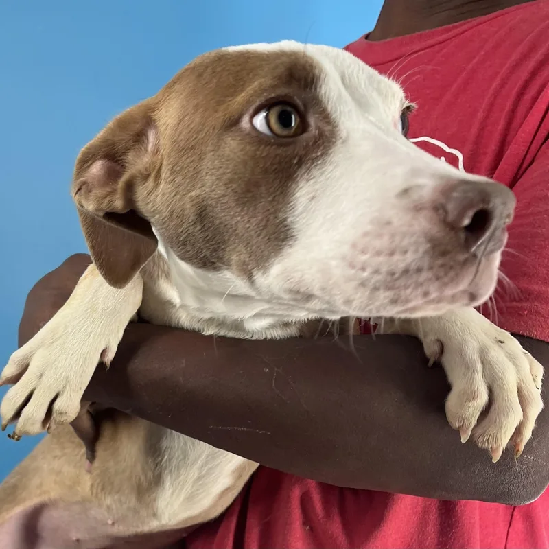 Bonnie  Local April thumbnail 2