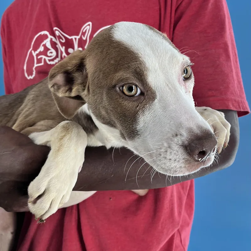 Bonnie  Local April thumbnail 3