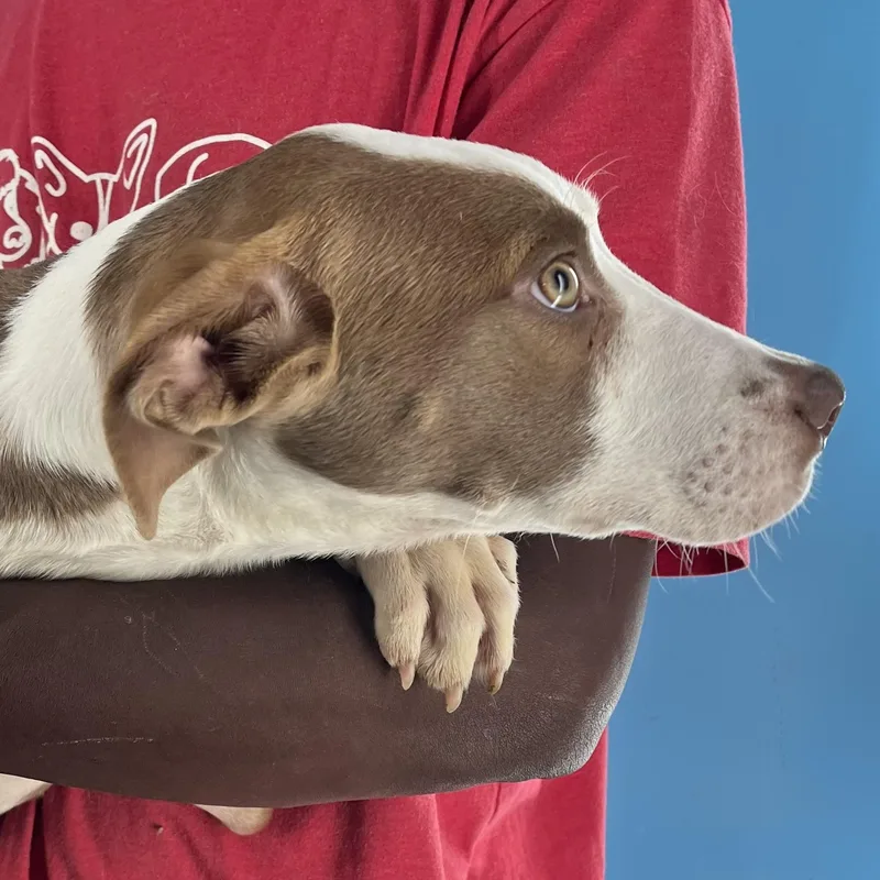 Bonnie  Local April thumbnail 4