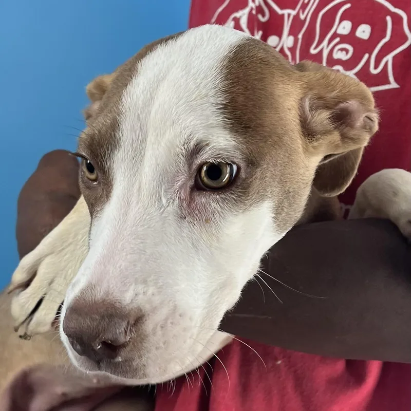 Bonnie  Local April thumbnail 5