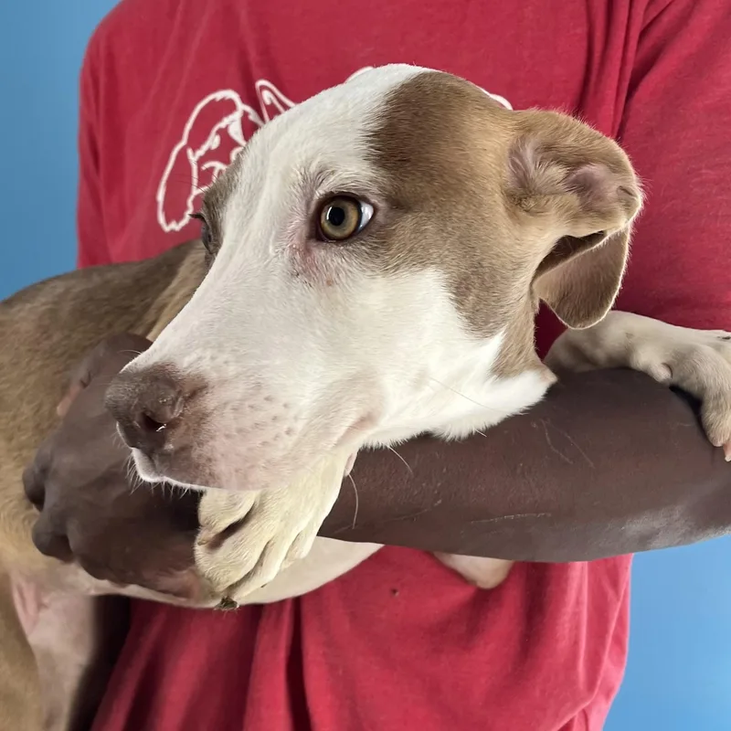 Bonnie  Local April thumbnail 6