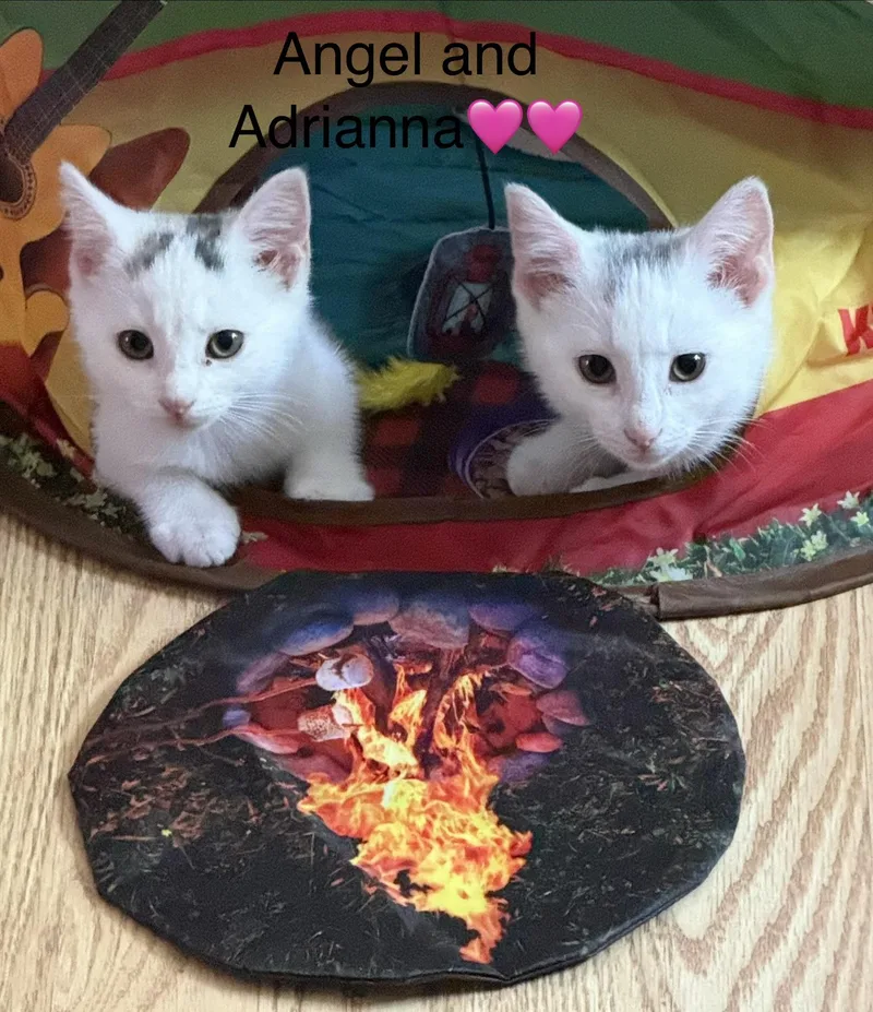 Angel and Adrianna
