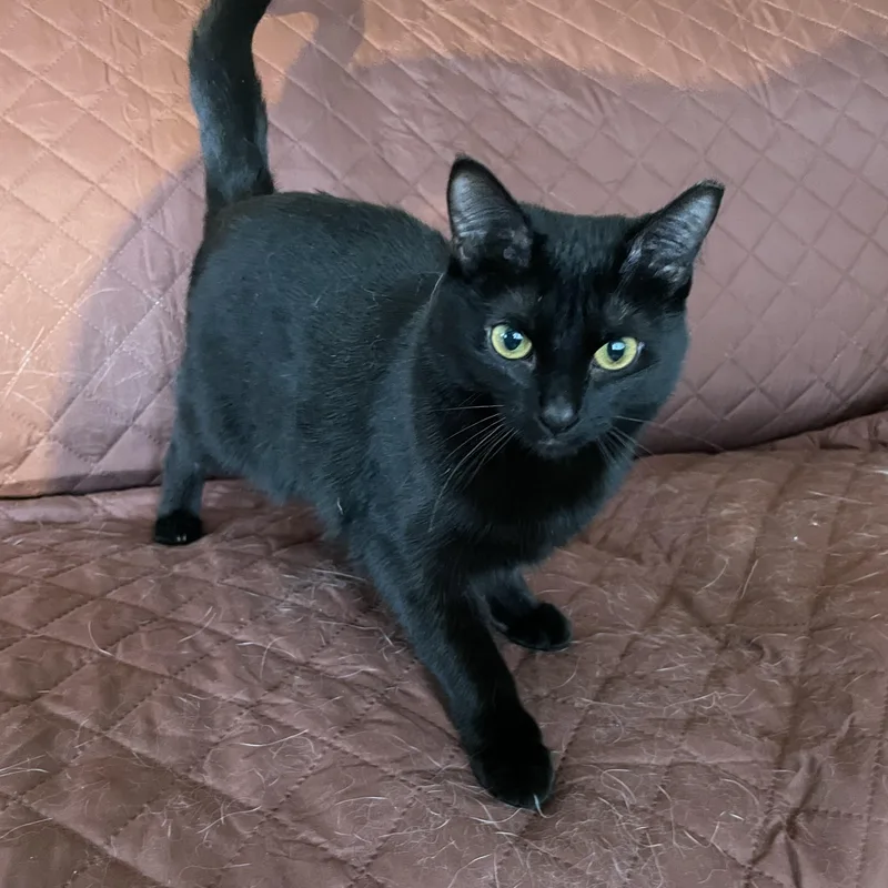 Winifred thumbnail 2