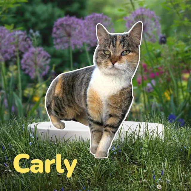 Carly