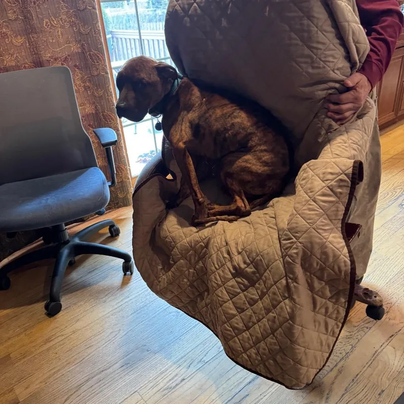 Plankton thumbnail 5