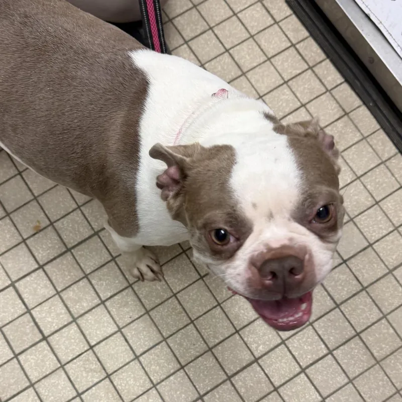 Brittani thumbnail 2