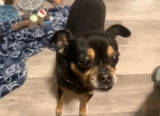 Holly And Clara thumbnail 2