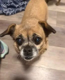 Holly And Clara thumbnail 3