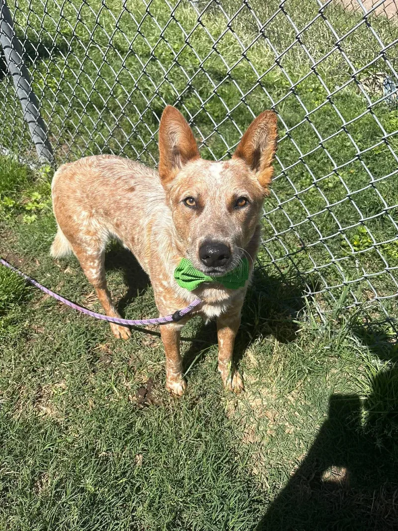 Aero thumbnail 4