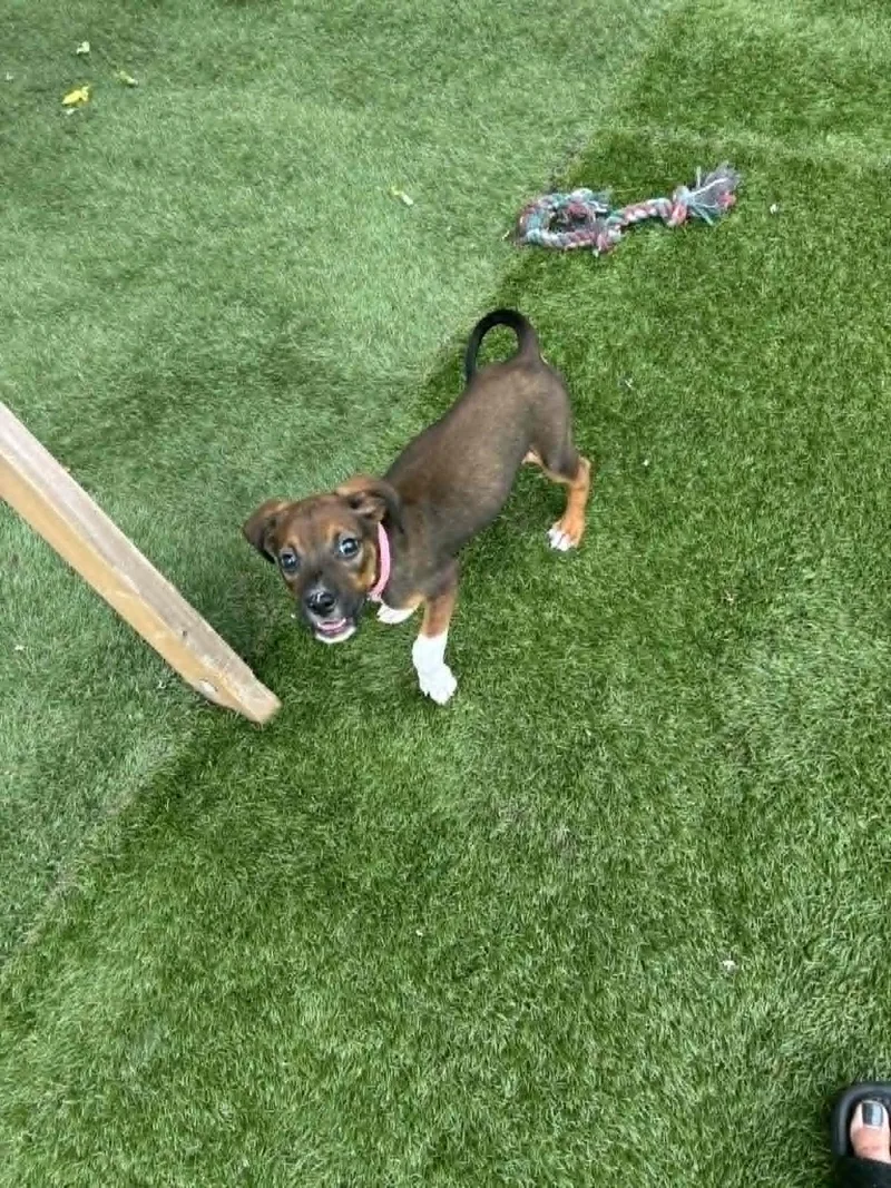 Risk thumbnail 3