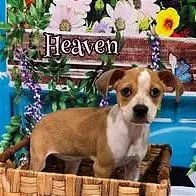 Heaven thumbnail 2