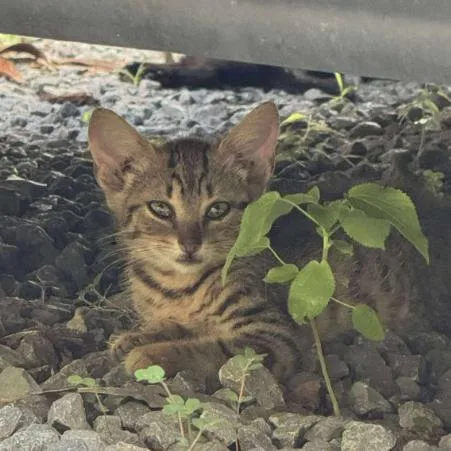 Whirlpool thumbnail 2