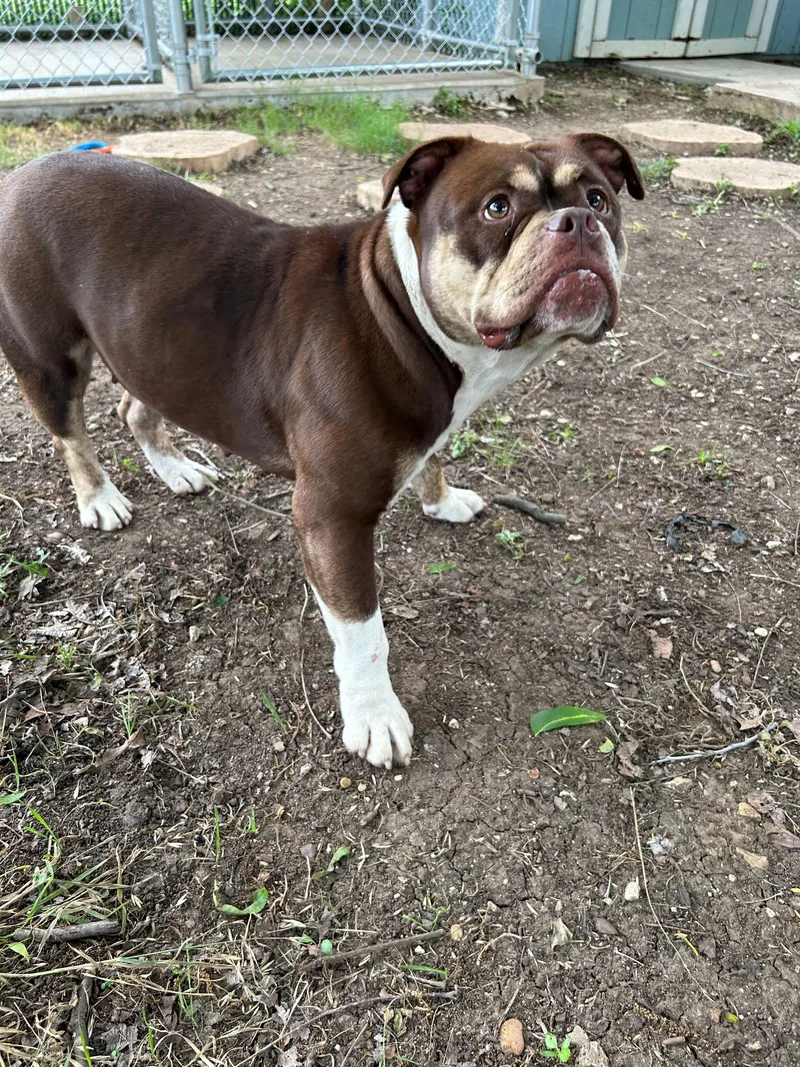 Millie