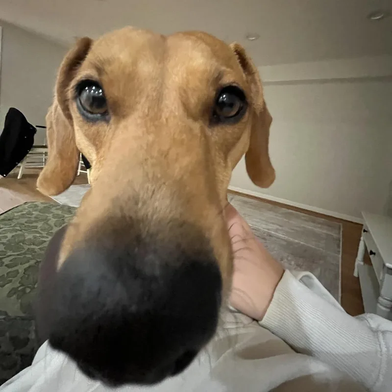 Oskar The Ween thumbnail 2