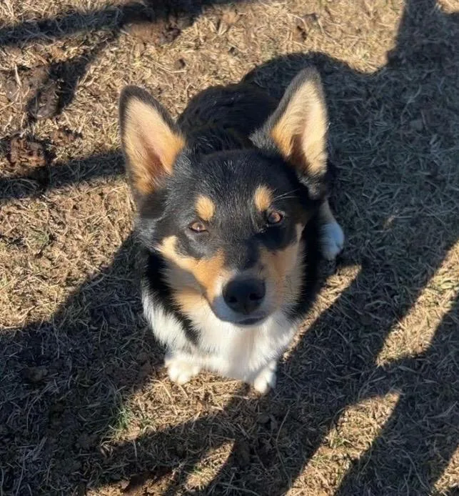 Hondo