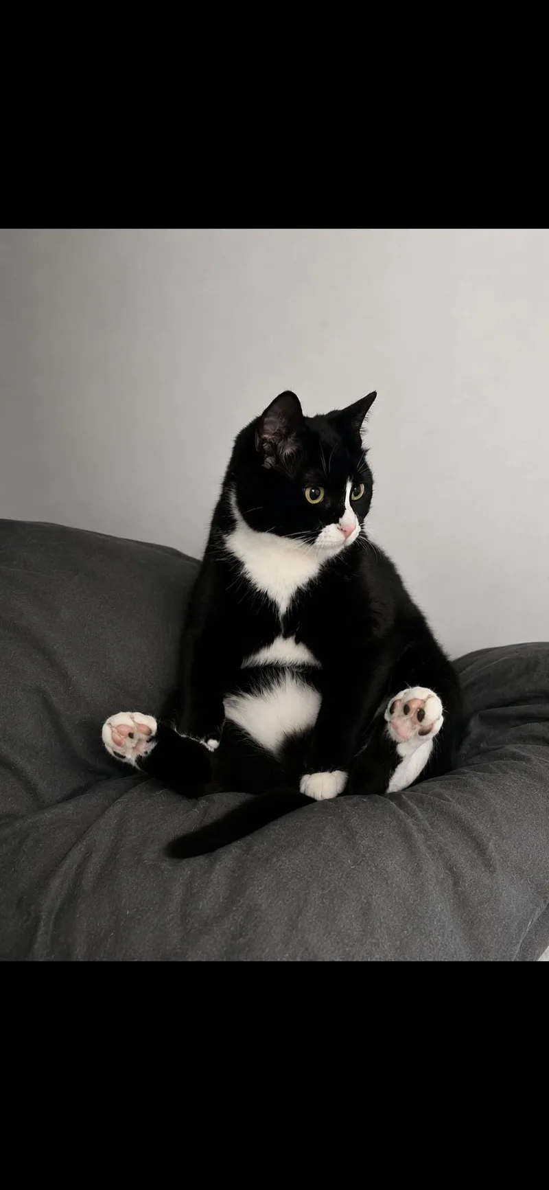 Penelope Aka Penny thumbnail 3