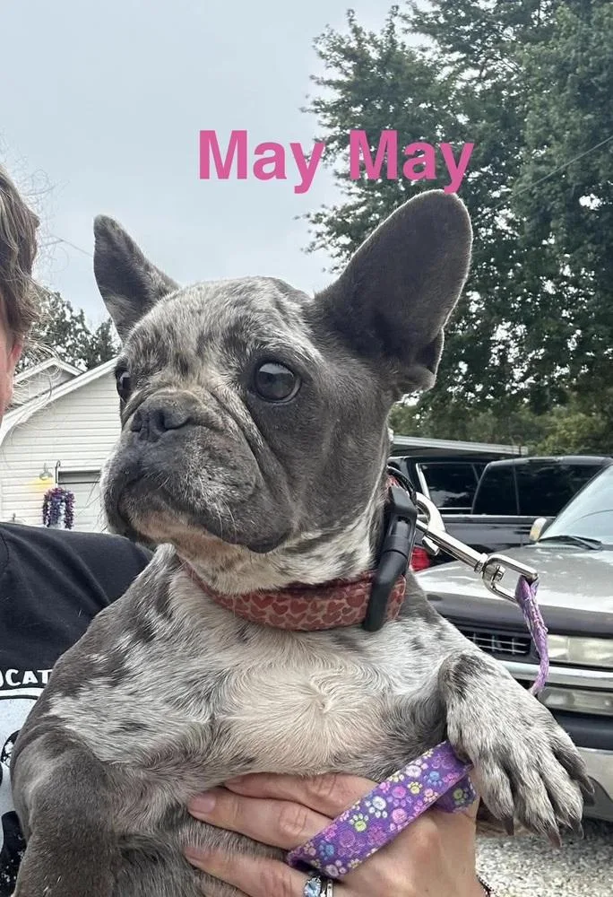 May May aka Ellie thumbnail 2