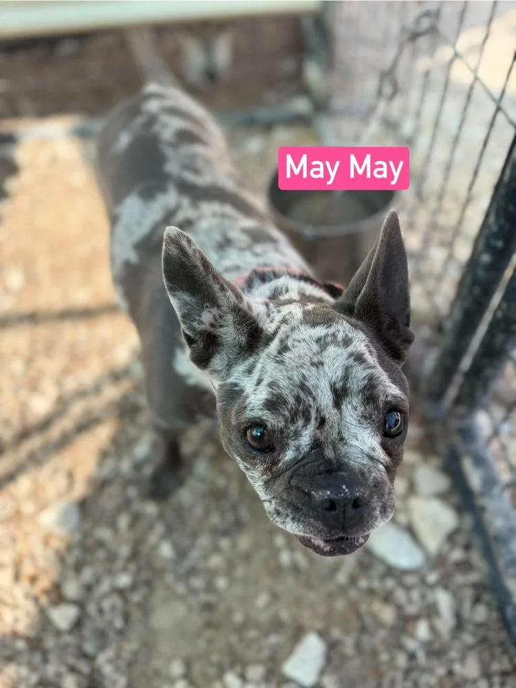 May May aka Ellie thumbnail 3