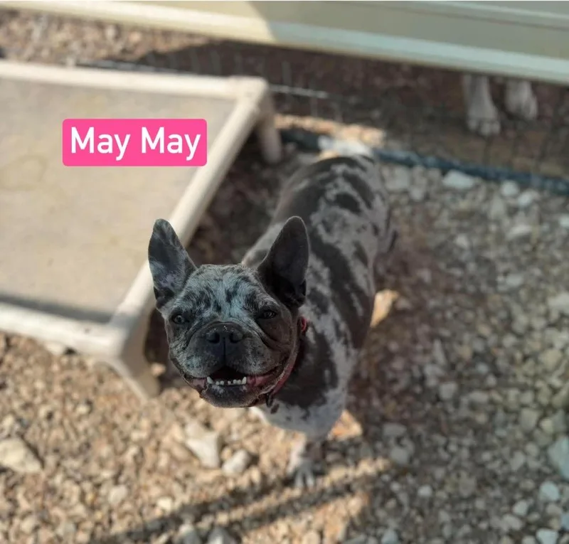 May May aka Ellie thumbnail 4