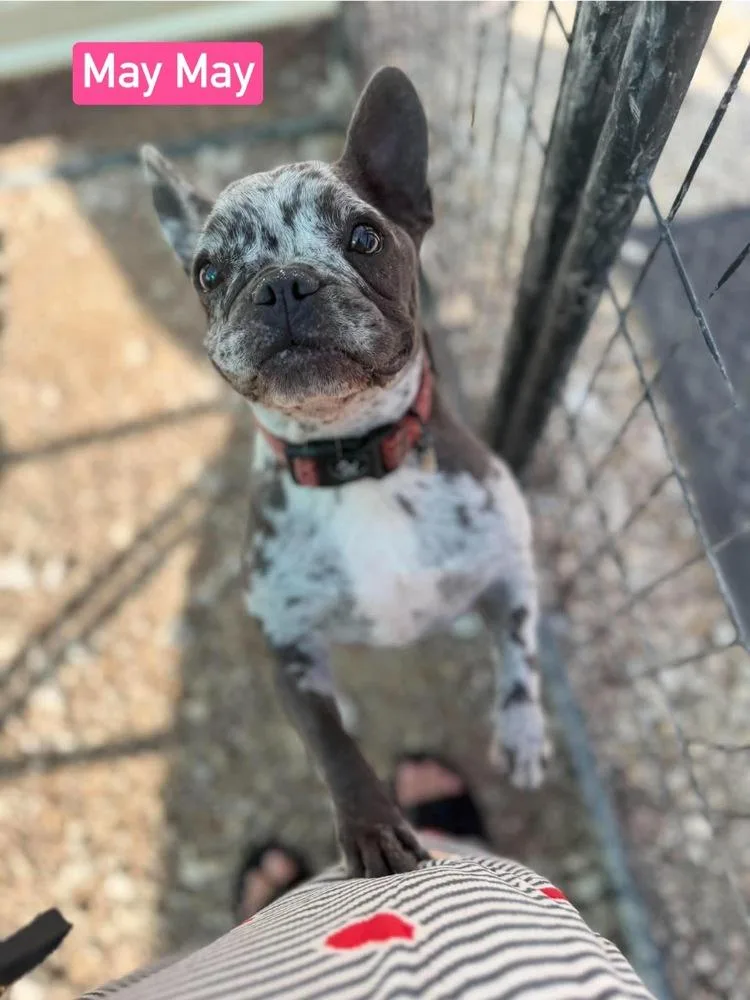 May May aka Ellie thumbnail 5
