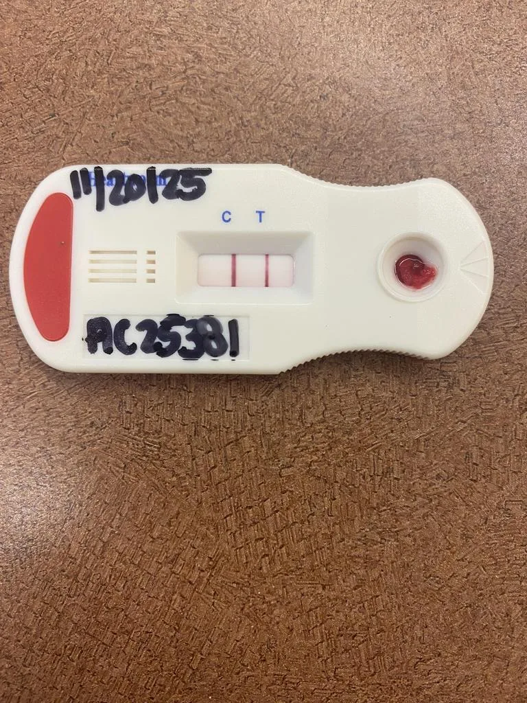 Limp Bizkit thumbnail 4