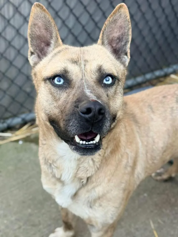 Taittinger thumbnail 3