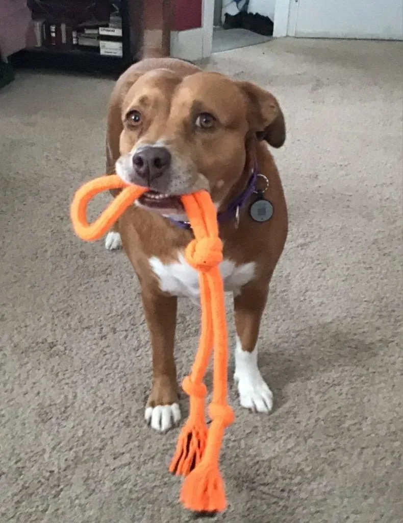 Isis The Goddess thumbnail 2