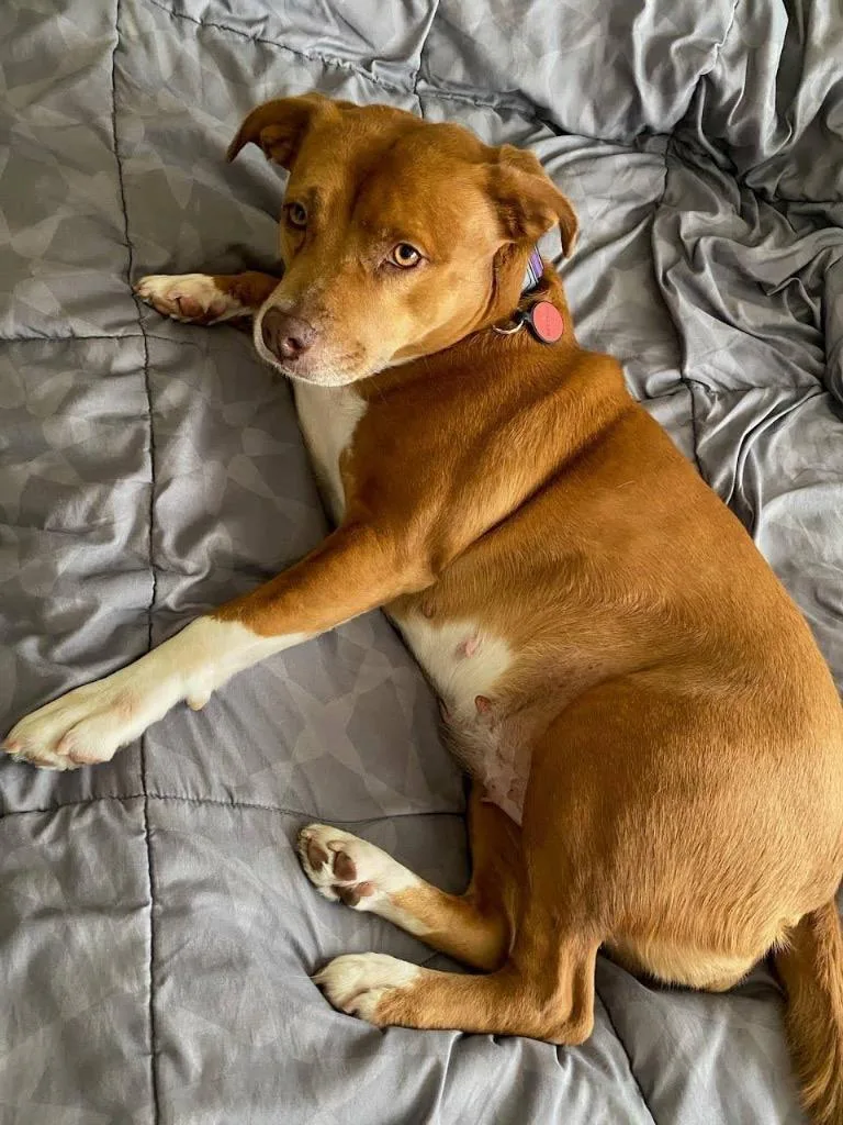 Isis The Goddess thumbnail 3