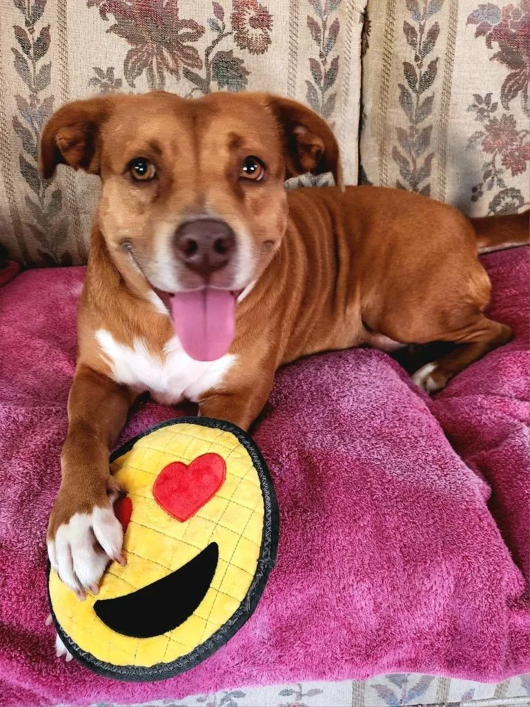 Isis The Goddess thumbnail 4