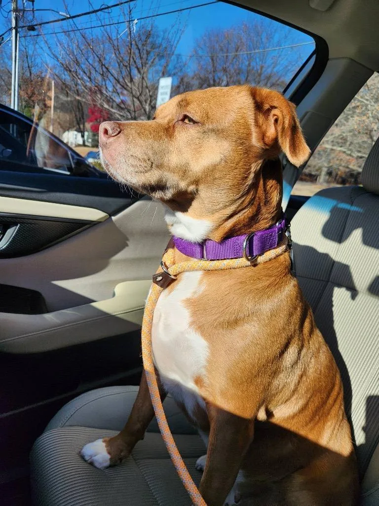 Isis The Goddess thumbnail 6