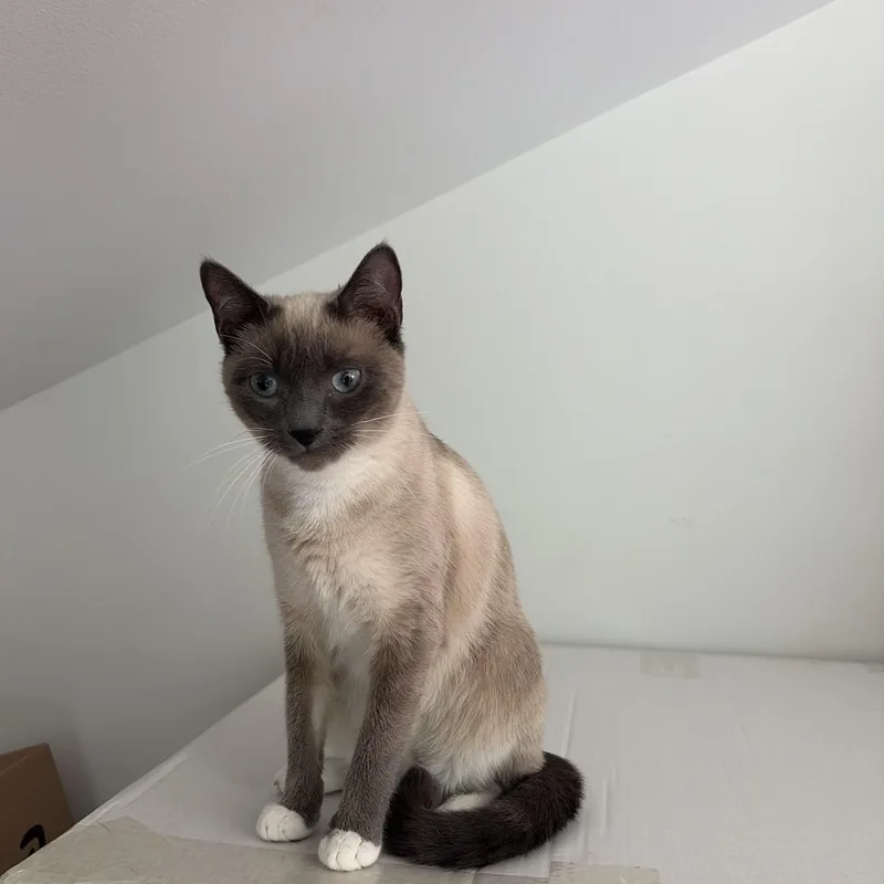 Karen thumbnail 2