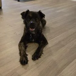 Zeus