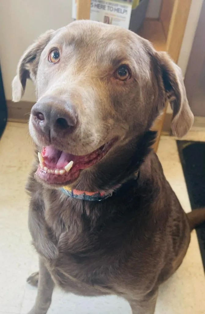 Michelle thumbnail 2