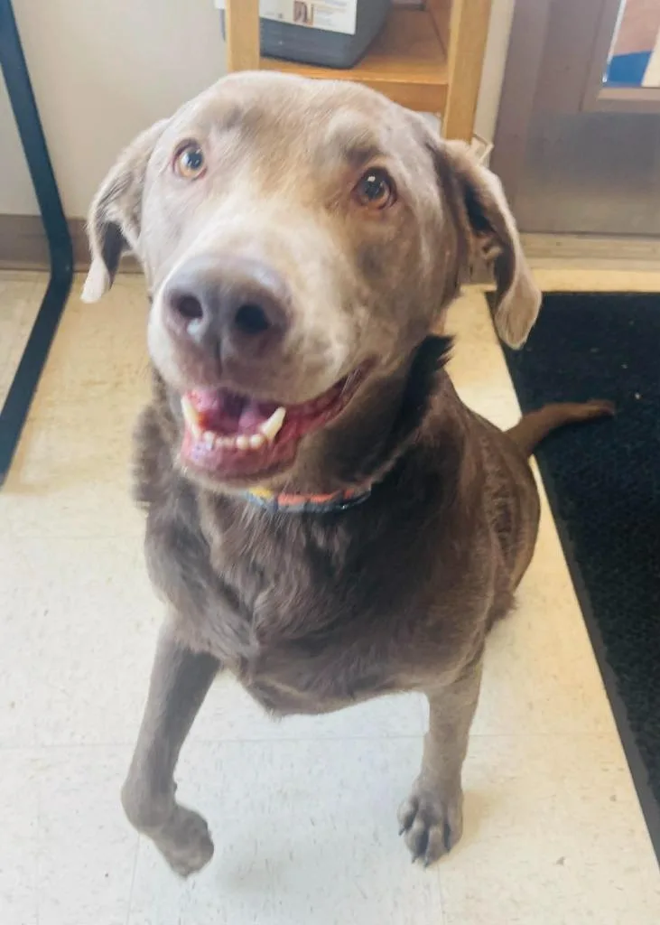 Michelle thumbnail 3