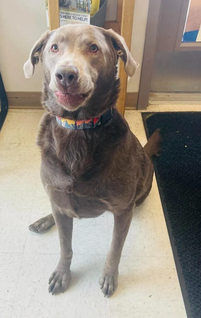 Michelle thumbnail 4