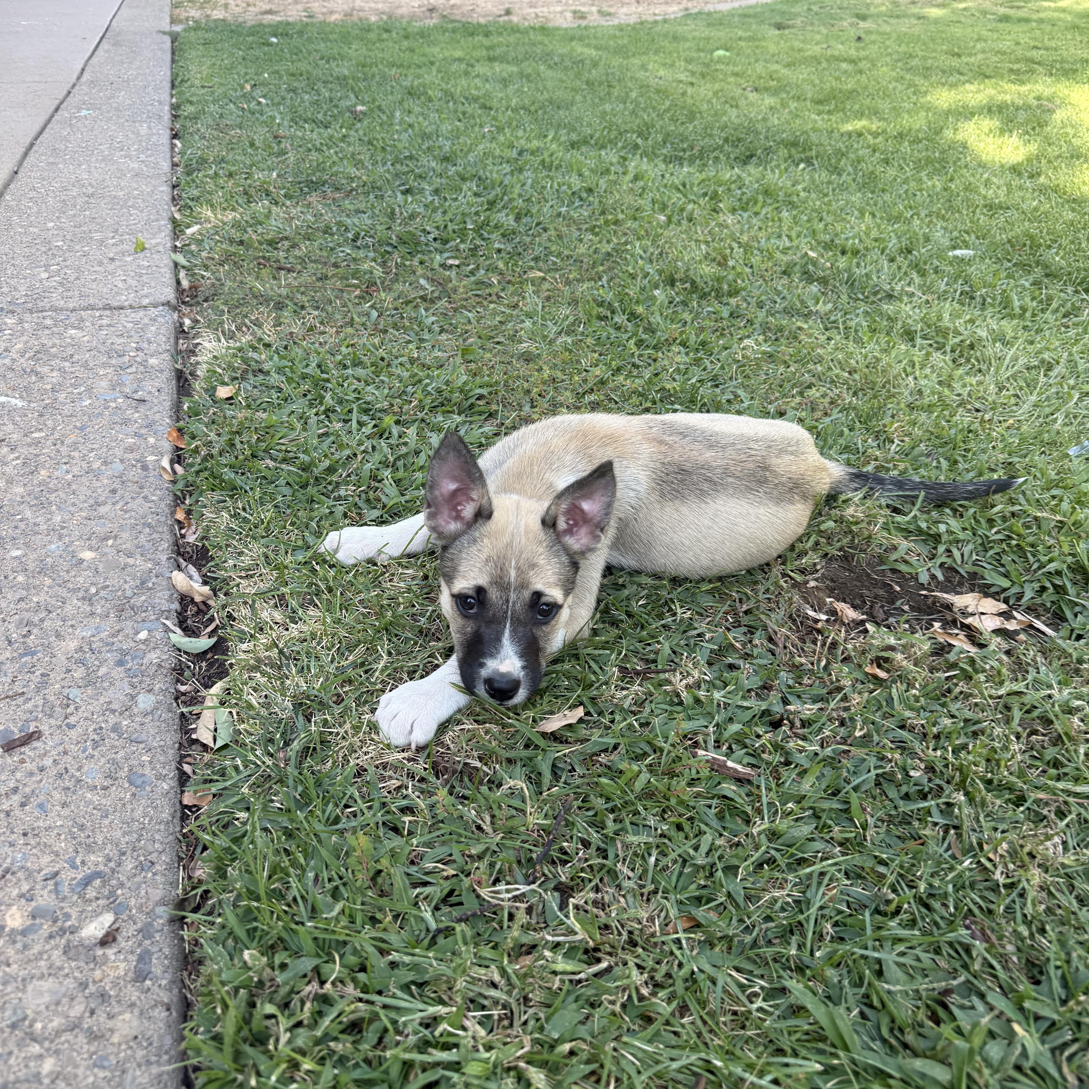 Zoey thumbnail 2