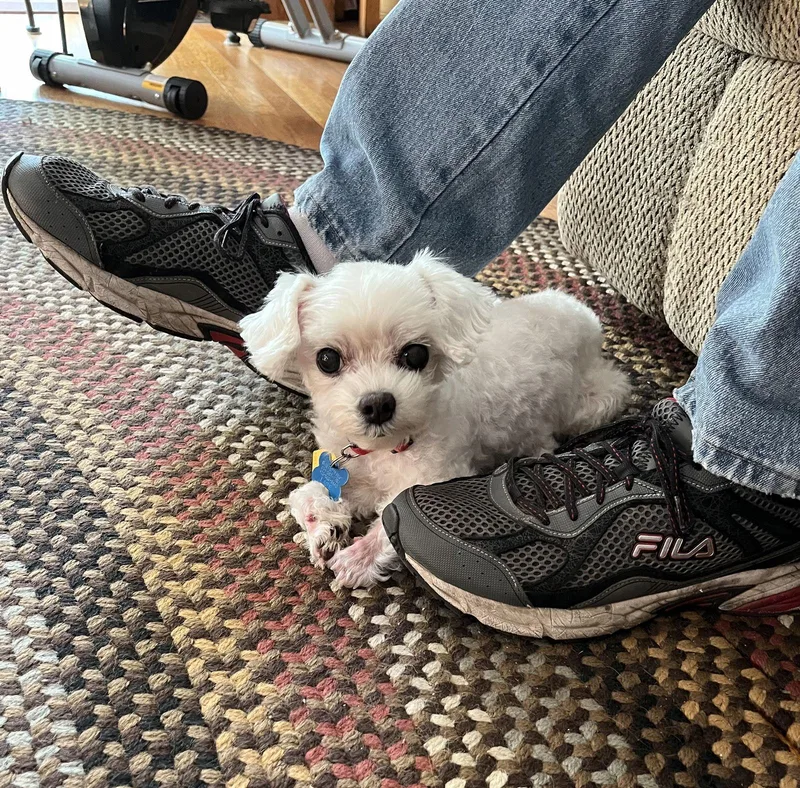 Marnie  Fairfield thumbnail 2