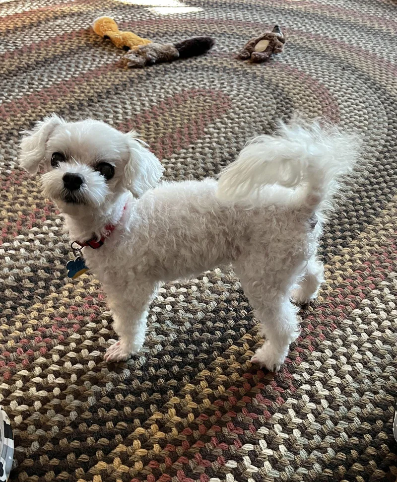 Marnie  Fairfield thumbnail 3