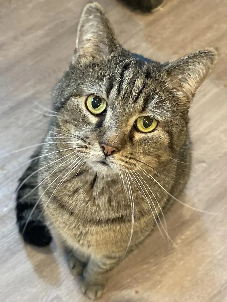 Kingston thumbnail 5